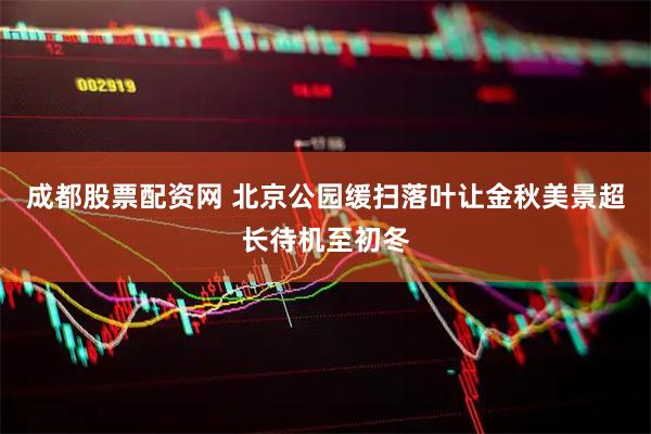 成都股票配资网 北京公园缓扫落叶让金秋美景超长待机至初冬