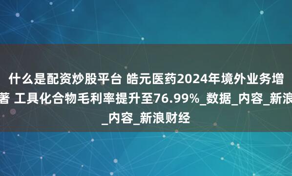 什么是配资炒股平台 皓元医药2024年境外业务增长显著 工具化合物毛利率提升至76.99%_数据_内容_新浪财经