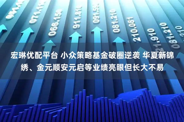 宏琳优配平台 小众策略基金破圈逆袭 华夏新锦绣、金元顺安元启等业绩亮眼但长大不易