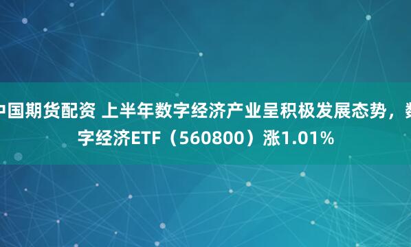 中国期货配资 上半年数字经济产业呈积极发展态势，数字经济ETF（560800）涨1.01%